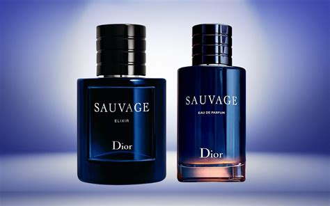 giorgio armani acqua di gio profumo vs dior sauvage|Sauvage Elixir Dior cologne .